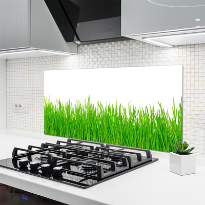 Kitchen Splashback Weed nature green