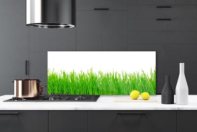 Kitchen Splashback Weed nature green