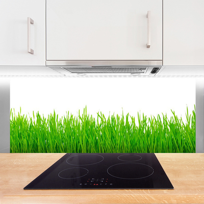 Kitchen Splashback Weed nature green