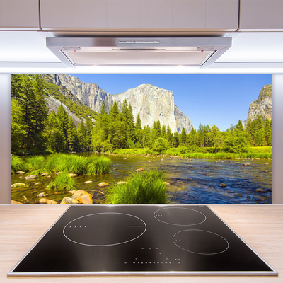 Kitchen Splashback Lake mountain forest nature blue green grey