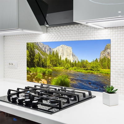 Kitchen Splashback Lake mountain forest nature blue green grey