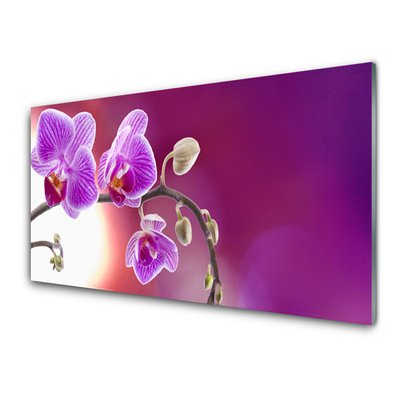 Kitchen Splashback Flowers floral pink