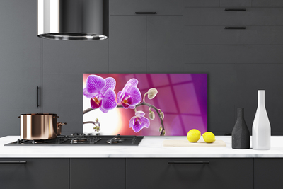 Kitchen Splashback Flowers floral pink