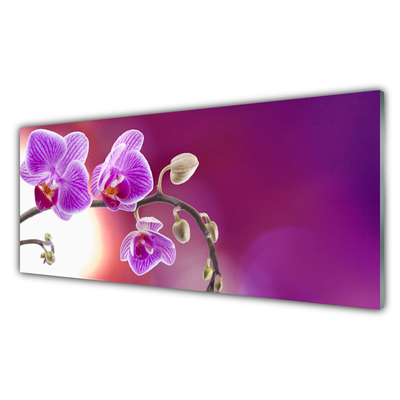 Kitchen Splashback Flowers floral pink