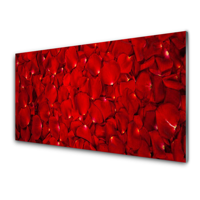 Kitchen Splashback Petals floral red