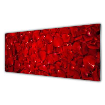 Kitchen Splashback Petals floral red