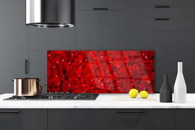 Kitchen Splashback Petals floral red