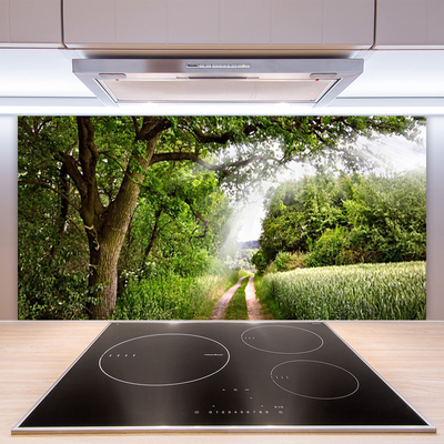 Kitchen Splashback Trees footpath nature brown green