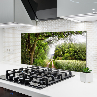 Kitchen Splashback Trees footpath nature brown green