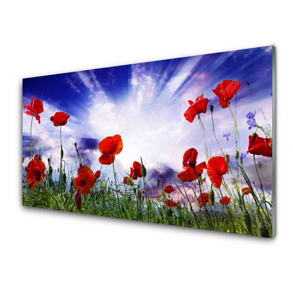 Kitchen Splashback Poppies nature red green purple white