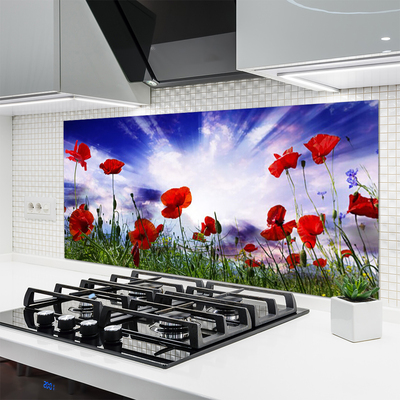 Kitchen Splashback Poppies nature red green purple white