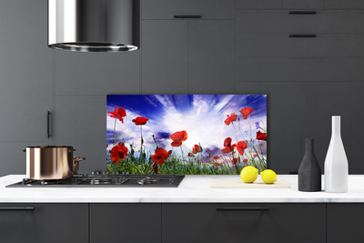 Kitchen Splashback Poppies nature red green purple white