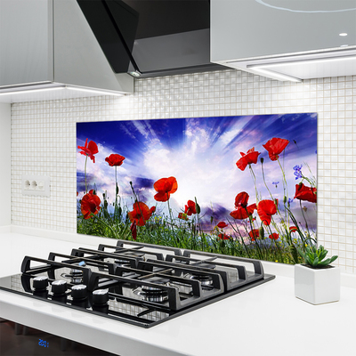 Kitchen Splashback Poppies nature red green purple white