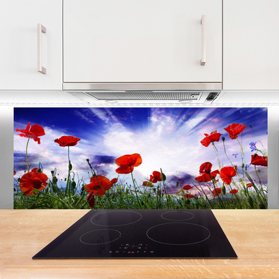 Kitchen Splashback Poppies nature red green purple white