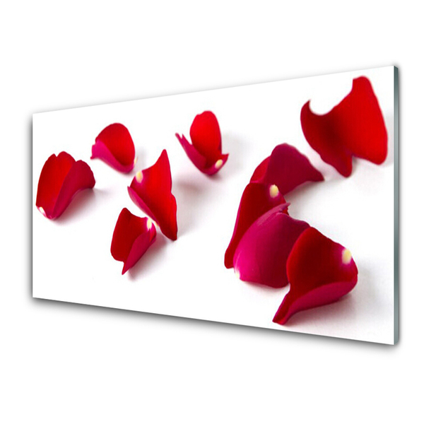 Kitchen Splashback Petals floral red