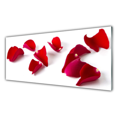 Kitchen Splashback Petals floral red