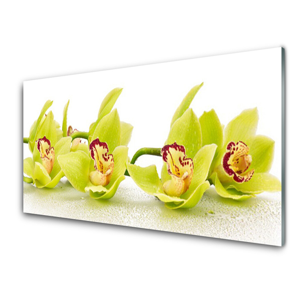 Kitchen Splashback Flowers floral green