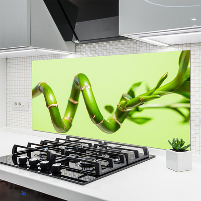 Kitchen Splashback Bamboo floral green