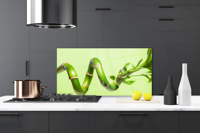 Kitchen Splashback Bamboo floral green