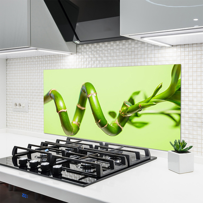 Kitchen Splashback Bamboo floral green