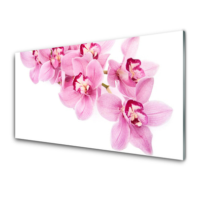 Kitchen Splashback Flowers floral pink