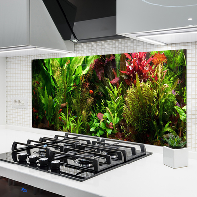 Kitchen Splashback Plants nature green orange