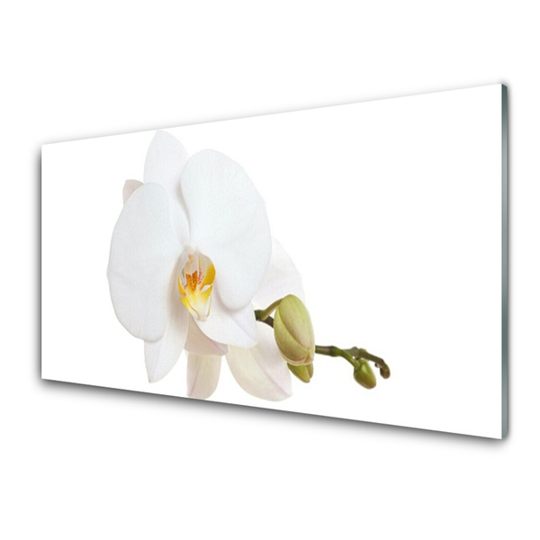 Kitchen Splashback Flower floral white