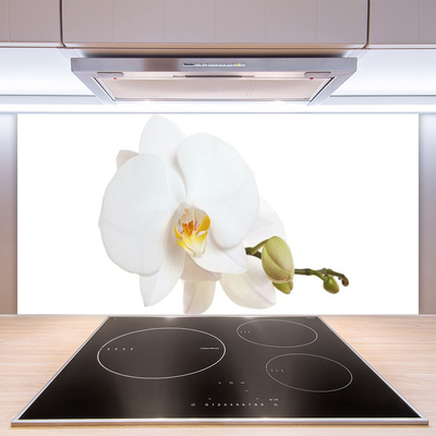Kitchen Splashback Flower floral white