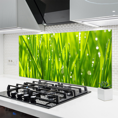 Kitchen Splashback Grass nature green