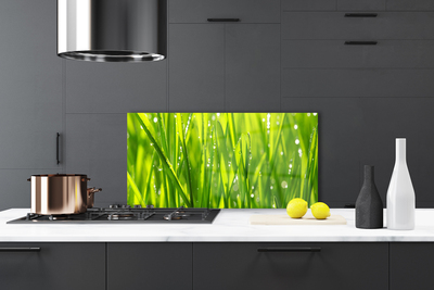 Kitchen Splashback Grass nature green