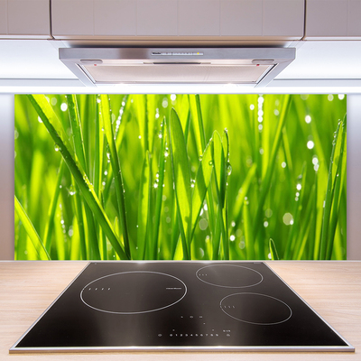 Kitchen Splashback Grass nature green