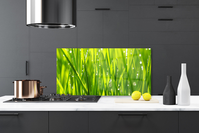 Kitchen Splashback Grass nature green