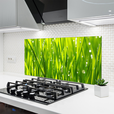 Kitchen Splashback Grass nature green