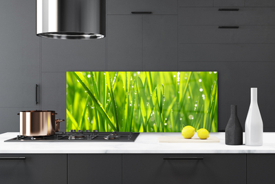 Kitchen Splashback Grass nature green