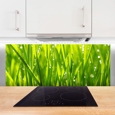 Kitchen Splashback Grass nature green