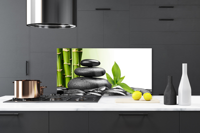 Kitchen Splashback Bamboo stalks stones art green black