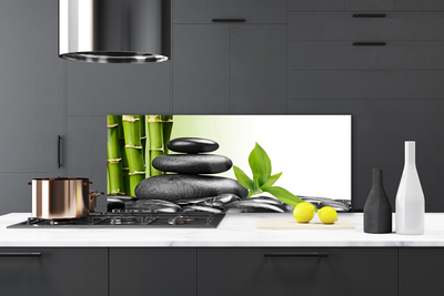 Kitchen Splashback Bamboo stalks stones art green black