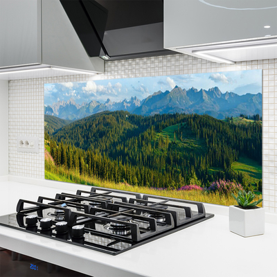 Kitchen Splashback Mountain forest nature green