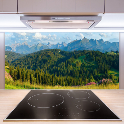 Kitchen Splashback Mountain forest nature green