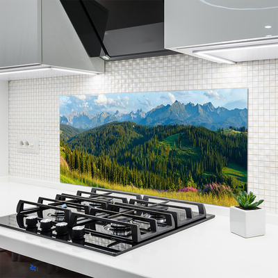 Kitchen Splashback Mountain forest nature green