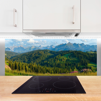 Kitchen Splashback Mountain forest nature green