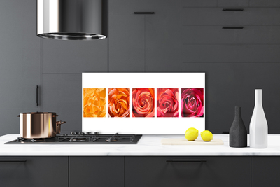 Kitchen Splashback Roses floral yellow orange red