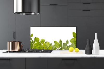 Kitchen Splashback Leaves floral green