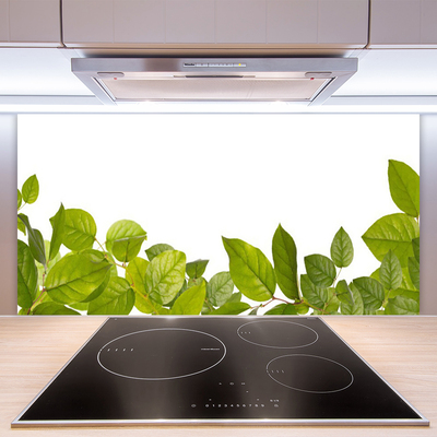 Kitchen Splashback Leaves floral green