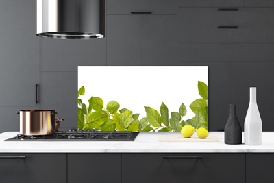 Kitchen Splashback Leaves floral green