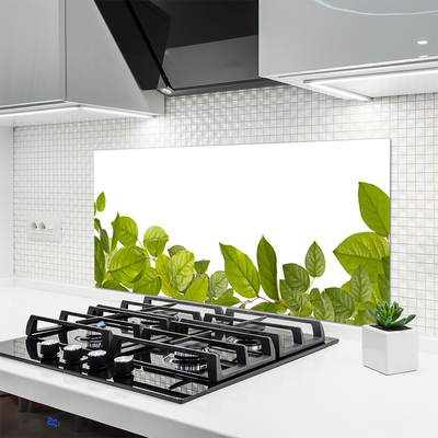 Kitchen Splashback Leaves floral green