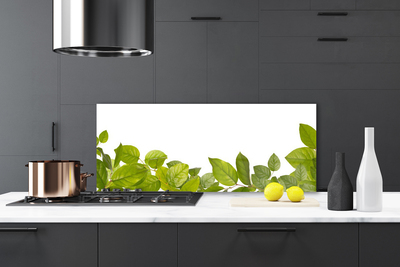 Kitchen Splashback Leaves floral green