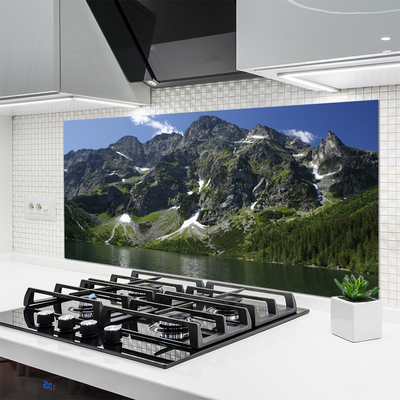 Kitchen Splashback Mountains lake forest landscape green grey