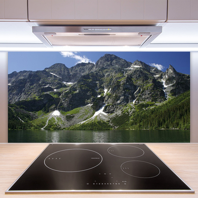 Kitchen Splashback Mountains lake forest landscape green grey