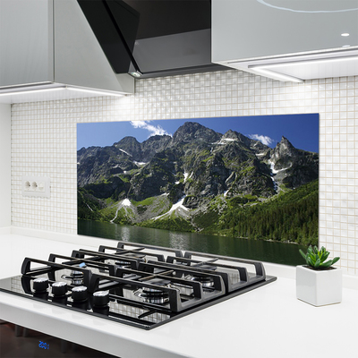 Kitchen Splashback Mountains lake forest landscape green grey